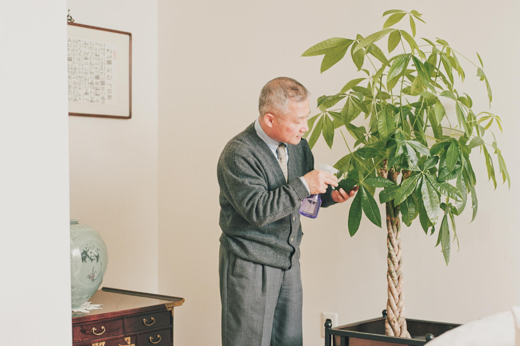 A man wiping leaves on a money tree